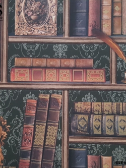 วอลเปเปอร์ ลายหนังสือ WS-B5