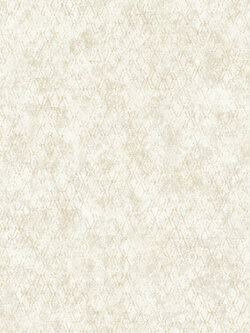 วอลเปเปอร์ ลายปูนเปลือยสีน้ำตาลอ่อนผสมลายตาข่าย PAL-D25W