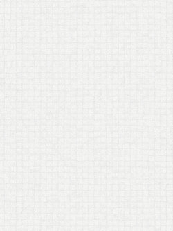 วอลเปเปอร์ พื้นสีเทาอ่อนสว่าง SOH-F103W