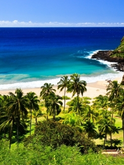 วอลเปปอร์ ภาพทะเล ชายหาด