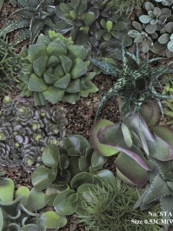 วอลเปเปอร์ ลายใบไม้-ต้นไม้ธรรมชาติ No.STA-S05