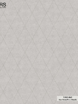 วอลเปเปอร์สไตล์โมเดิร์น ลายตาข่าย สีเทาเส้นสีเงิน VDI2-B65
