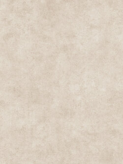 วอลเปเปอร์ปูนเปลือย สีน้ำตาล EPI-F07W