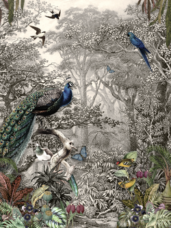 วอลเปเปอร์ภาพป่าเขตร้อน Tropical (สั่งผลิต)