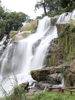 วอลเปเปอร์ภาพน้ำตก (สั่งผลิต)