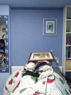 ติดตั้งวอลเปเอ์ พระราม6