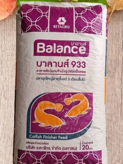 BALANCE FEED บาลานส์ 933 อาหารปลาดุกใหญ่ 25% โปรตีน อายุ 3 เดือนขึ้นไป บรรจุ 20 กิโลกรัม