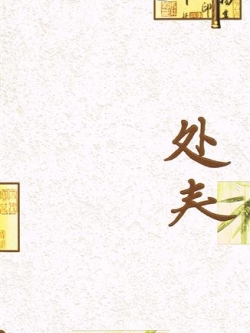 วอลเปเปอร์ ตัวหลังสือTM-B17