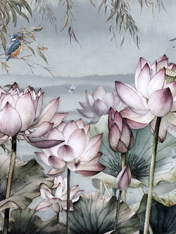 วอลเปเปอร์ภาพดอกบัว (สั่งผลิต)