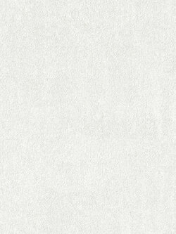 วอลเปเปอร์ ลายปูนเปลือยสีเทาสว่าง BES5-B77W