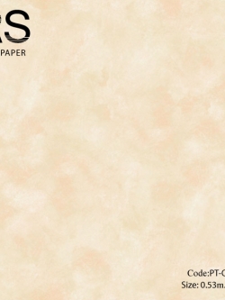 วอลเปเปอร์พื้นเรียบสีส้มอ่อนแกมทอง PT-Q03