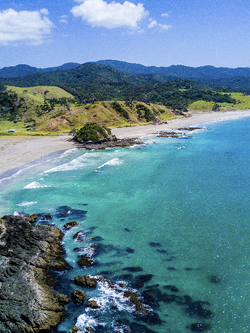 วอลเปเปอร์ภาพทะเล (สั่งผลิต)