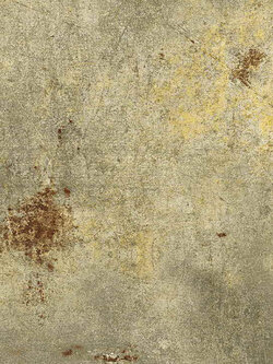 วอลเปเปอร์ลายปูนเปลือย สีน้ำตาลทองปนสีสนิม NA4-D53W