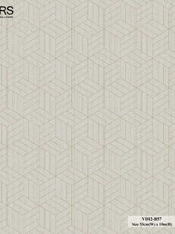 วอลเปเปอร์สไตล์โมเดิร์น ลายลูกบาศ์ก สีน้ำตาลเส้นสีทอง VDI2-B57