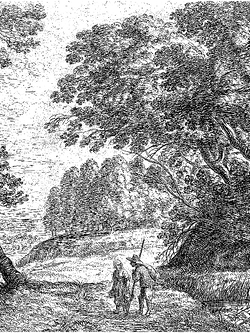 วอลเปเปอร์ภาพป่าเขตร้อน Tropical (สั่งผลิต)