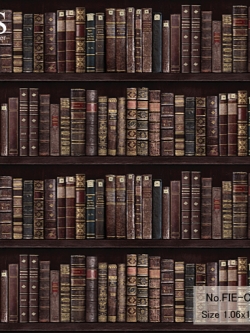 วอลเปเปอร์ ลายชั้นหนังสือ No.FIE-C21W