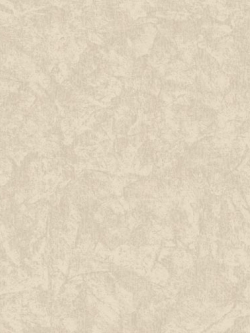 วอลเปเปอร์ ปูนเปลือย TL-F50