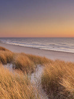 วอลเปเปอร์ภาพทะเล (สั่งผลิต)