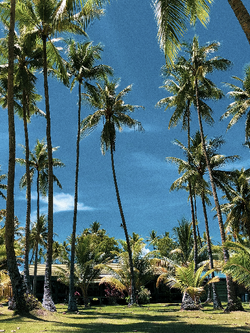 วอลเปเปอร์ภาพทะเล (สั่งผลิต)