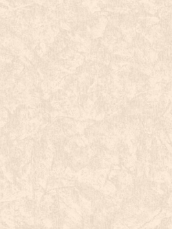 วอลเปเปอร์ ปูนเปลือย TL-F48