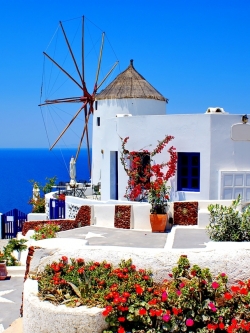 วอลเปเปอร์ ภาพดอกไม้