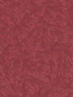 วอลเปเปอร์ ปูนเปลือย TL-F46