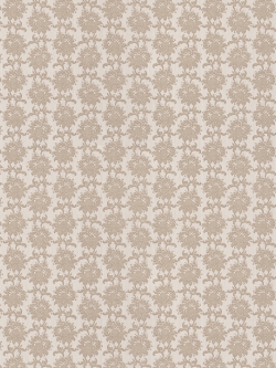 วอลเปเปอร์ลายดอกไม้เป็นทางเส้นตรงตัวดอกสีทองอ่อนพื้นสีเทาอมน้ำตาล GAR3-B59W