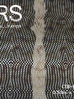 วอลเปเปอร์ลายอาตร์ CTB-D05