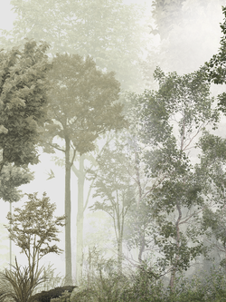 วอลเปเปอร์ภาพป่าเขตร้อน Tropical (สั่งผลิต)