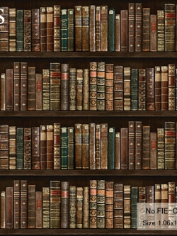 วอลเปเปอร์ ลายชั้นหนังสือ No.FIE-C23W