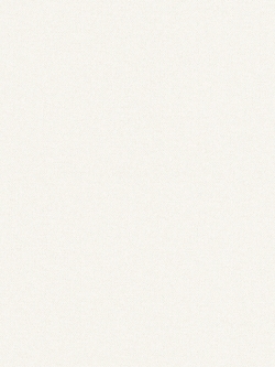 วอลเปเปอร์พื้นสีขาวเทกเจอร์ผิวปูนผนังบ้านผิวหยาบ BES2-B69W