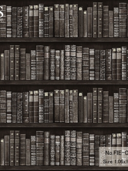 วอลเปเปอร์ ลายชั้นหนังสือ No.FIE-C22W