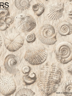 วอลเปเปอร์ ลายเปลือกหอย ชายหาด KA-D26