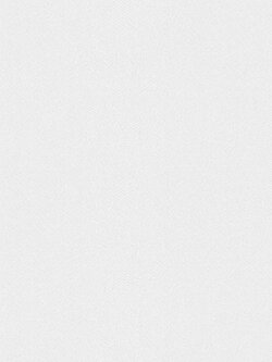 วอลเปเปอร์สีพื้นเทา BOA-F70W