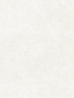 วอลเปเปอร์ลายปูนเปลือย สีเทาอ่อนอมขาว EPI-F94W