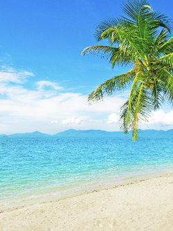 วอลเปเปอร์ภาพทะเล (สั่งผลิต)