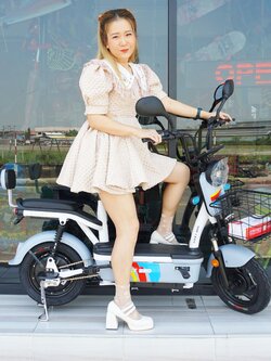 จักรยานไฟฟ้า 48V 350W LUCKY BRID