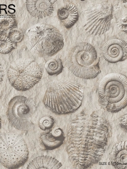 วอลเปเปอร์ ลายเปลือกหอย ชายหาดKA-D27