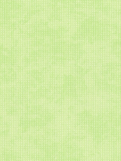 วอลเปเปอร์ สีพื้น ESP10-19