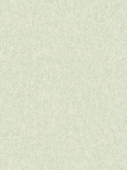 วอลเปเปอร์สีพื้นเขียว BOA-F17W