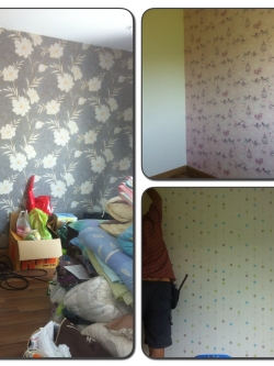 ติดวอลเปเปอร์ พฤกษา พัฒนาการ38