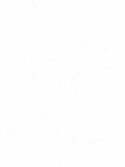 วอลเปเปอร์สีพื้นขาว NOV-F85W