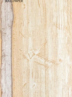 วอลเปเปอร์ลายไม้แผ่นมีตาไม้โทนสีเหลืองเข้ม ROL-R41