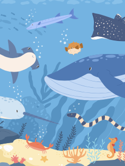 วอลเปเปอร์ห้องเด็ก ลายการ์ตูน (สั่งผลิต)