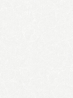 วอลเปเปอร์ ปูนเปลือยสีขาว NO7-F34W