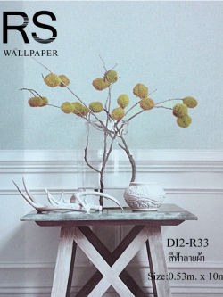 วอลเปเปอร์สีพื้น DI2-R33