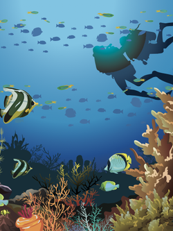 วอลเปเปอร์ภาพใต้ทะเล (สั่งผลิต)