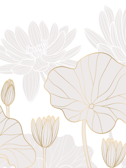 วอลเปเปอร์ภาพดอกบัว (สั่งผลิต)