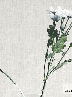 วอลเปเปอร์ สีครีม MEG-F67W