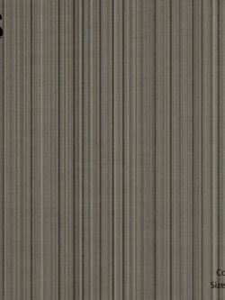 วอลเปเปอร์ลายเส้น TP-M105